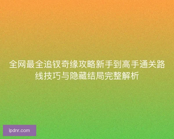 全网最全追钗奇缘攻略新手到高手通关路线技巧与隐藏结局完整解析